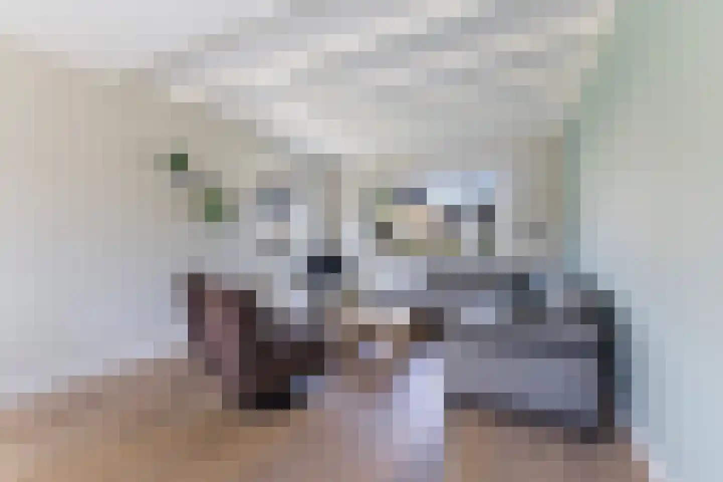 Hôfsleane 31 Berltsum thumbnail 13
