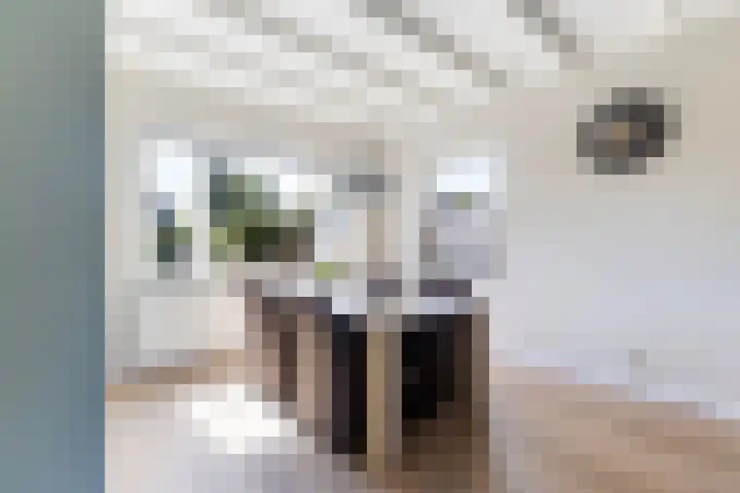 Hôfsleane 31 Berltsum thumbnail 15