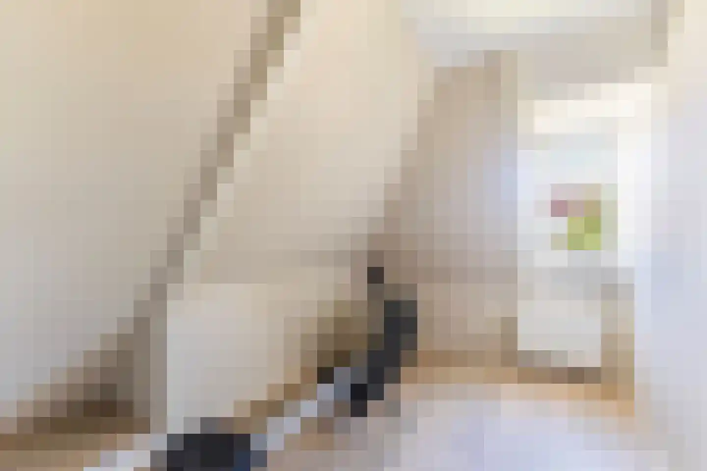 Hôfsleane 31 Berltsum thumbnail 34
