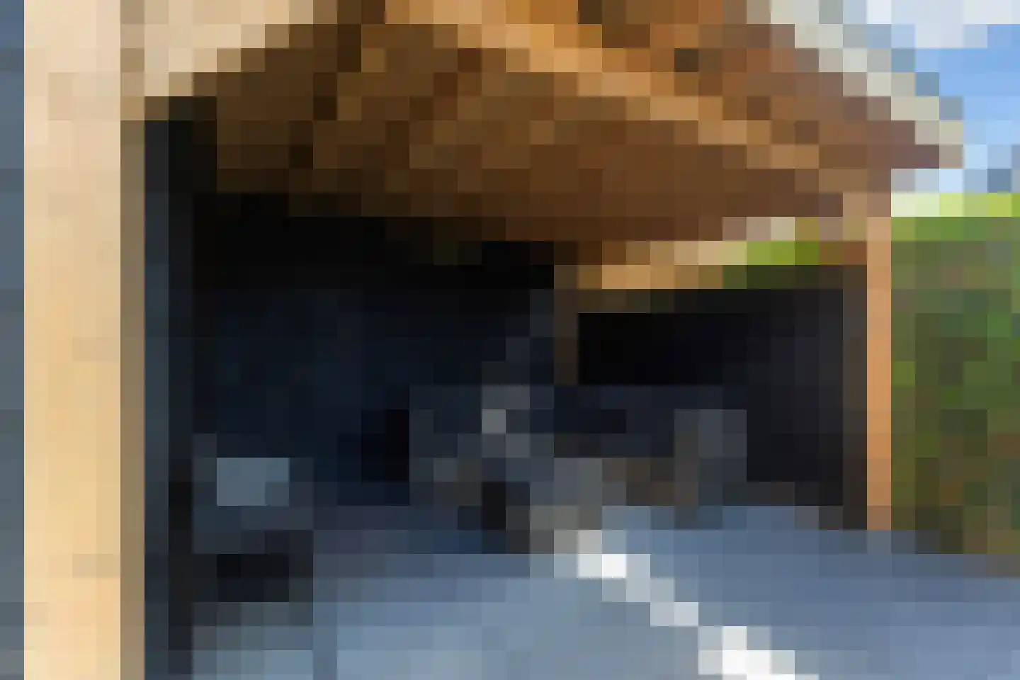 Hôfsleane 31 Berltsum thumbnail 39