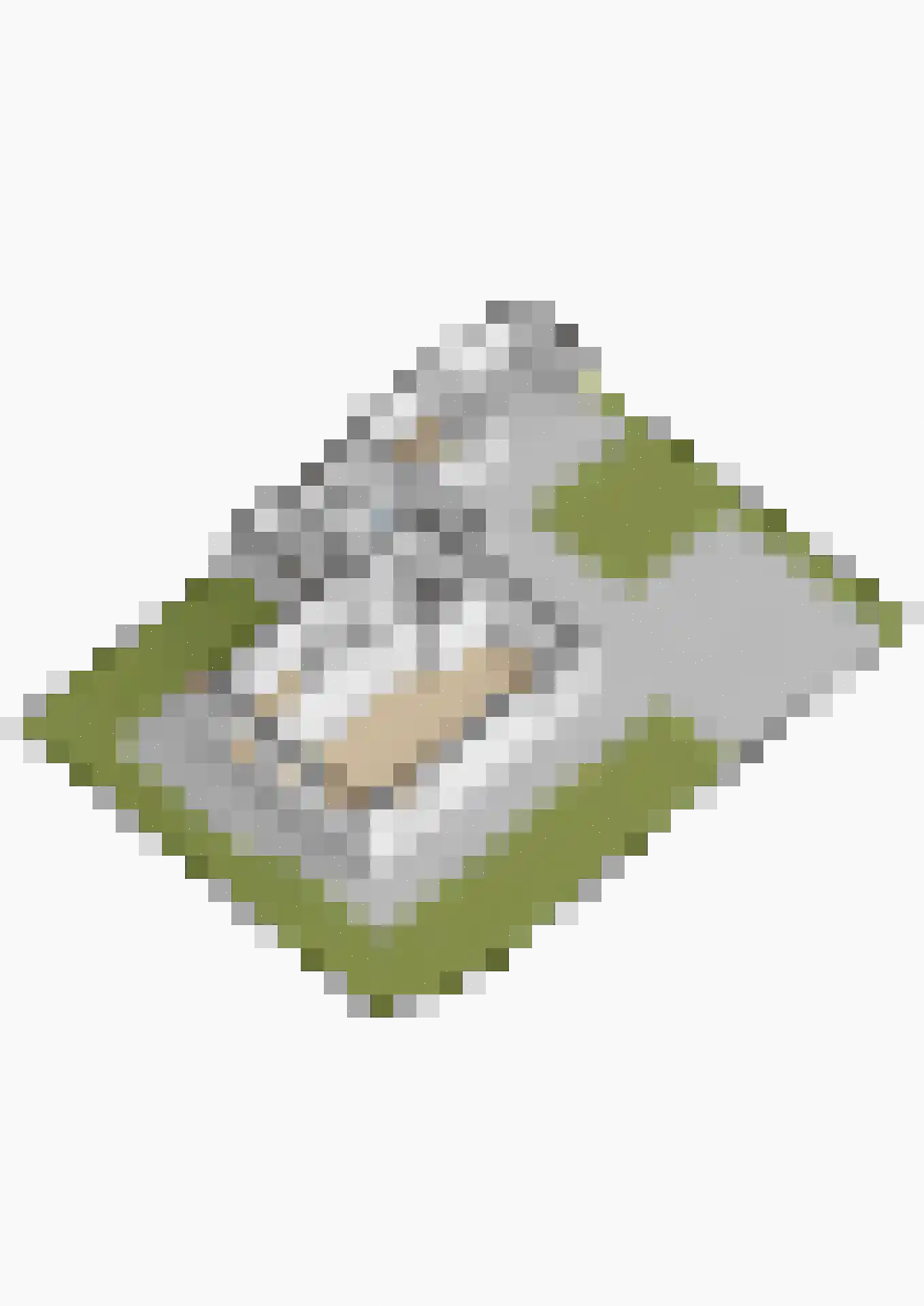 Hôfsleane 31 Berltsum thumbnail 55