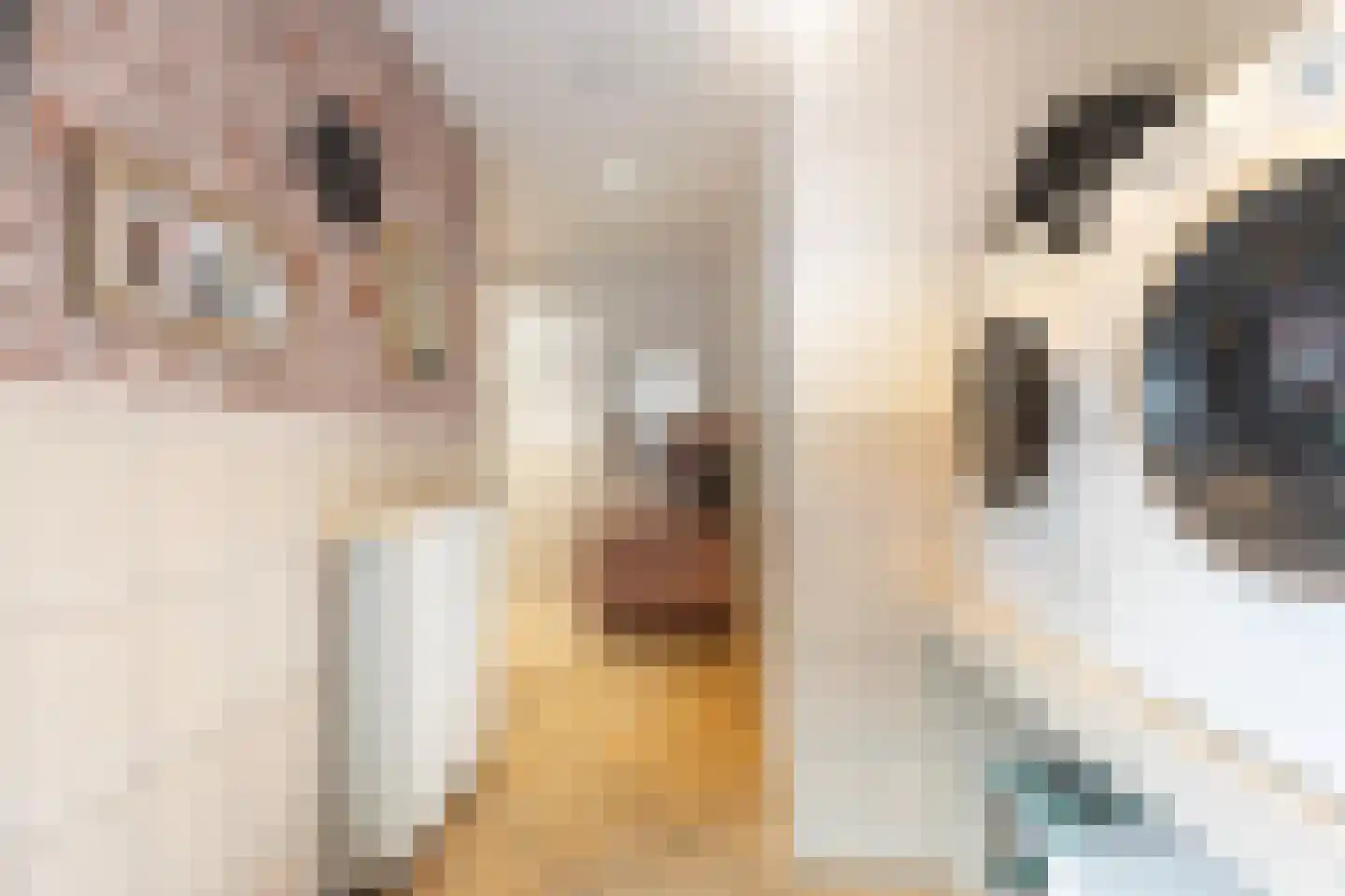 Hôfsleane 4 Berltsum thumbnail 11