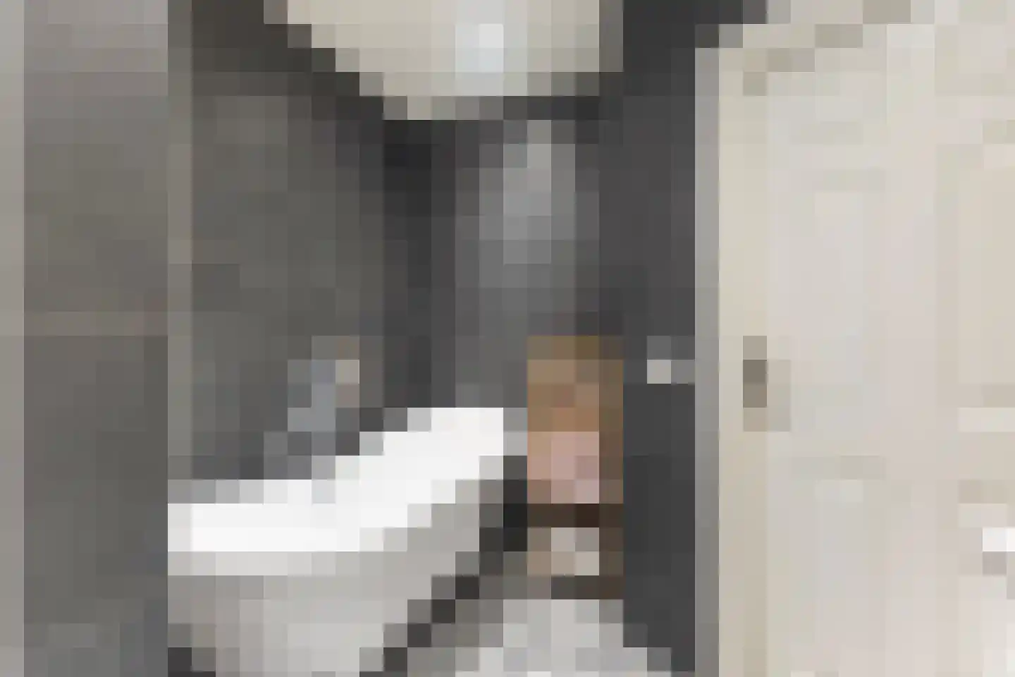 Hôfsleane 4 Berltsum thumbnail 14