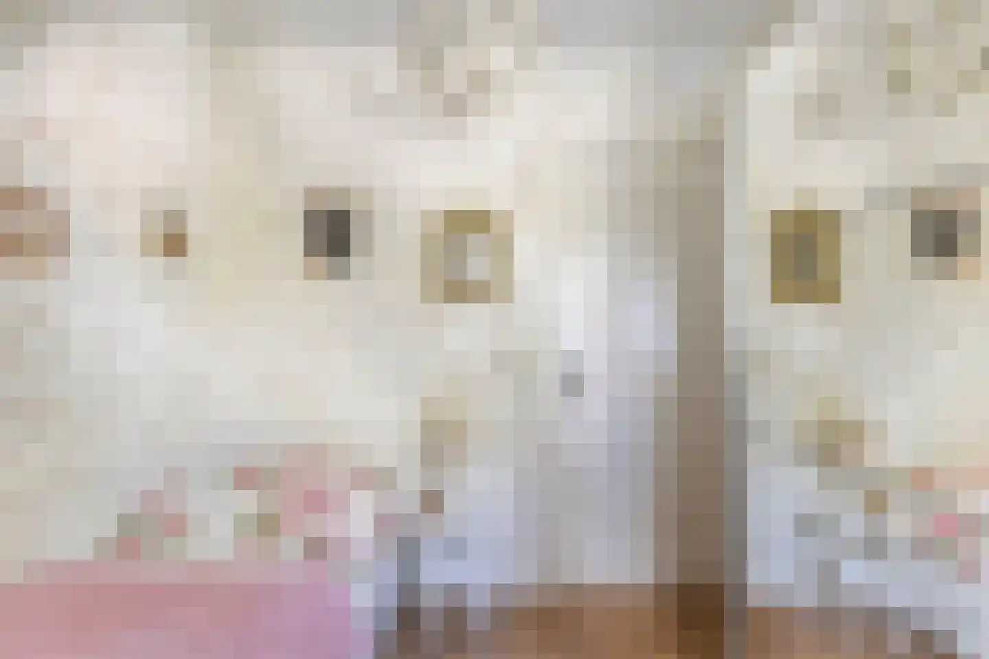 Hôfsleane 4 Berltsum thumbnail 27