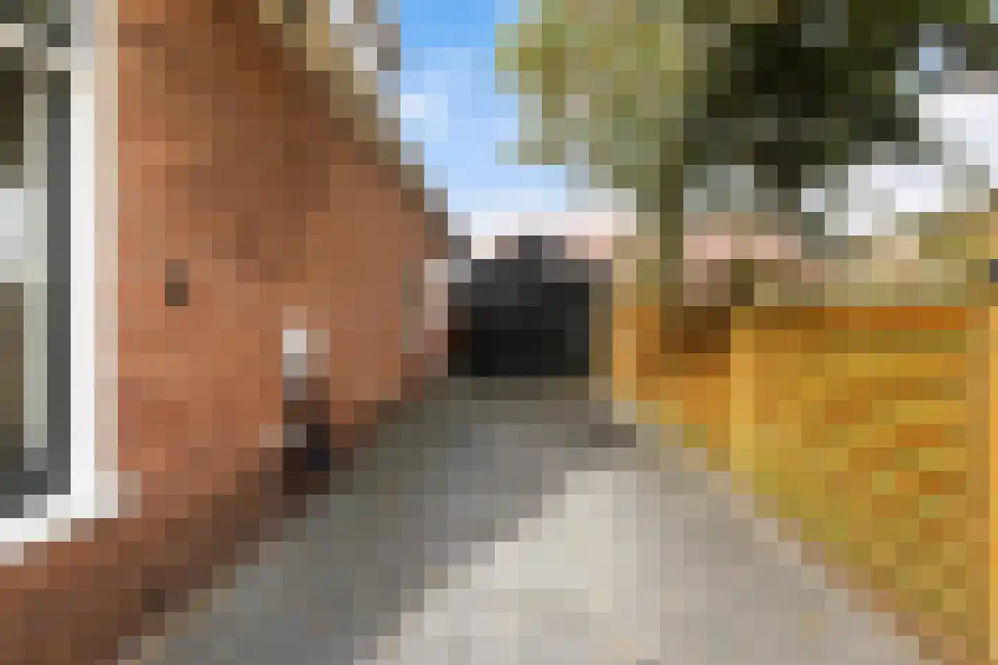 Hôfsleane 4 Berltsum thumbnail 28