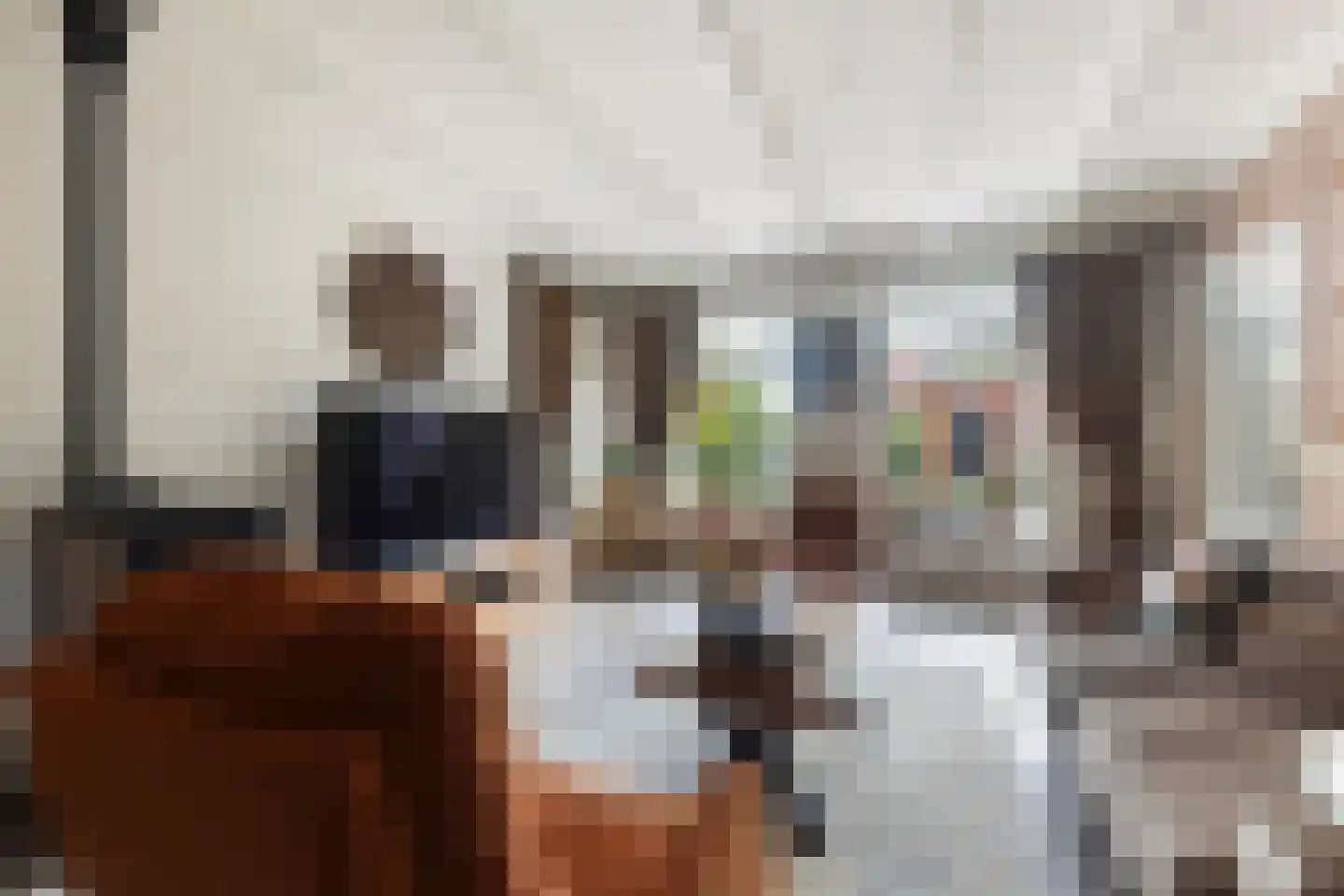 Hôfsleane 4 Berltsum foto 3