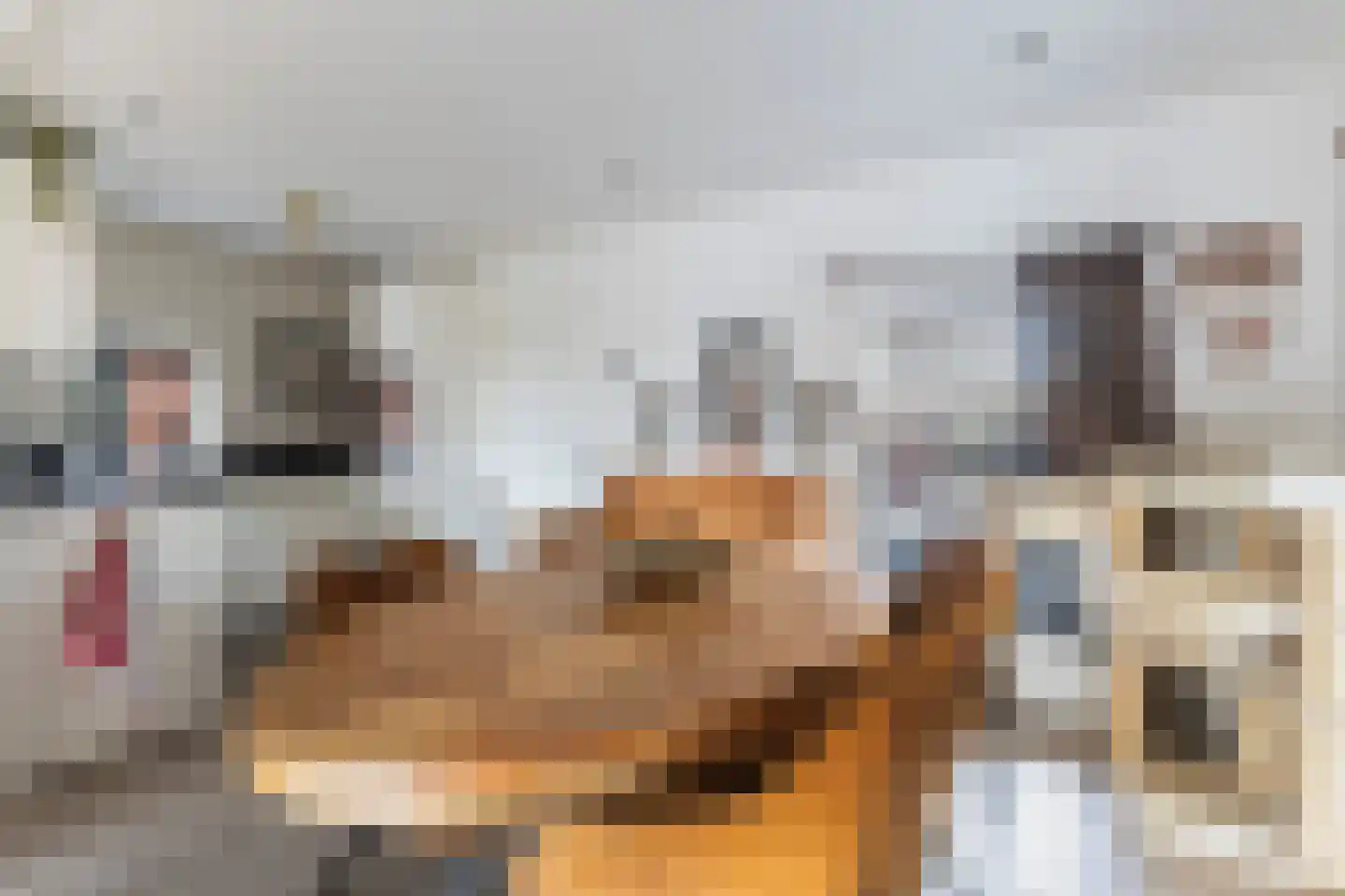 Hôfsleane 4 Berltsum thumbnail 6