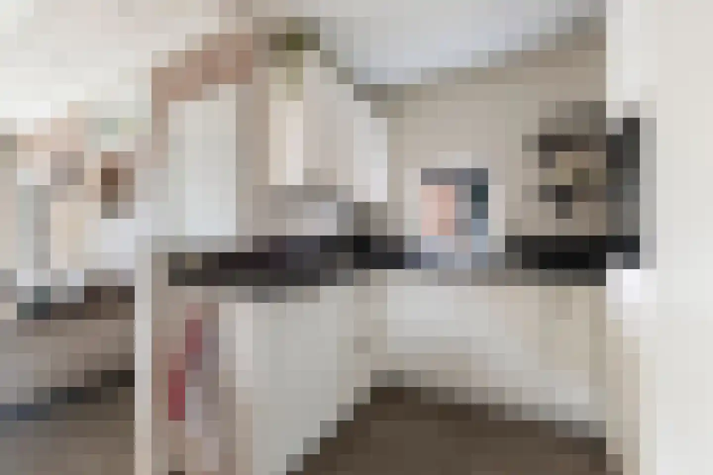 Hôfsleane 4 Berltsum thumbnail 8