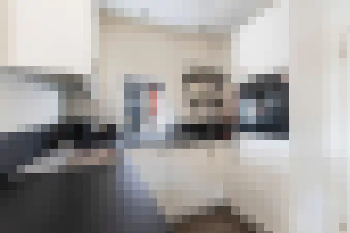 Hôfsleane 4 Berltsum thumbnail 9