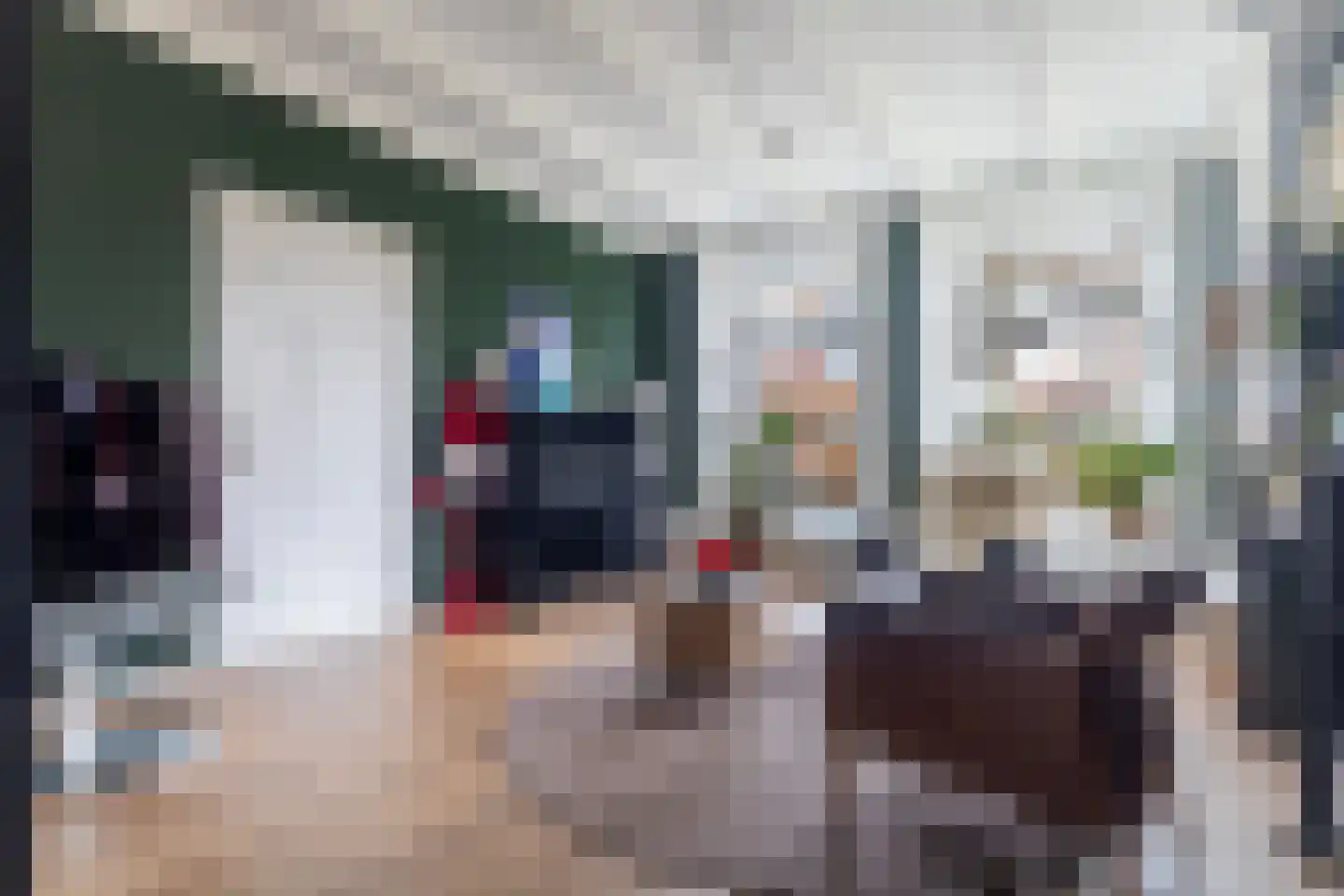Hôfsleane 40 Berltsum thumbnail 13