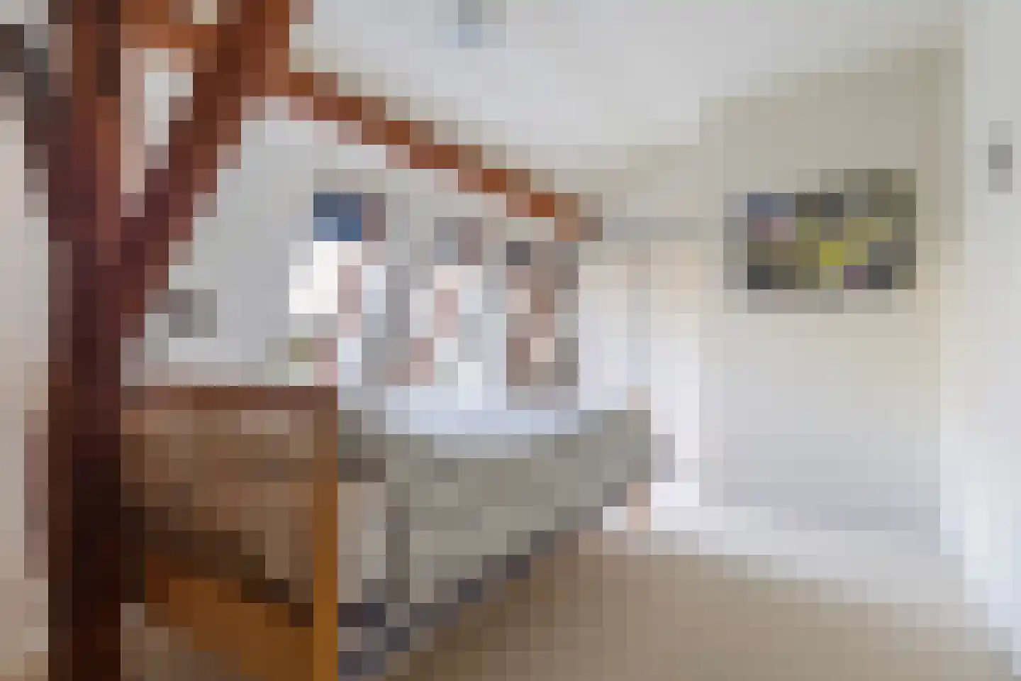 Hôfsleane 40 Berltsum thumbnail 27