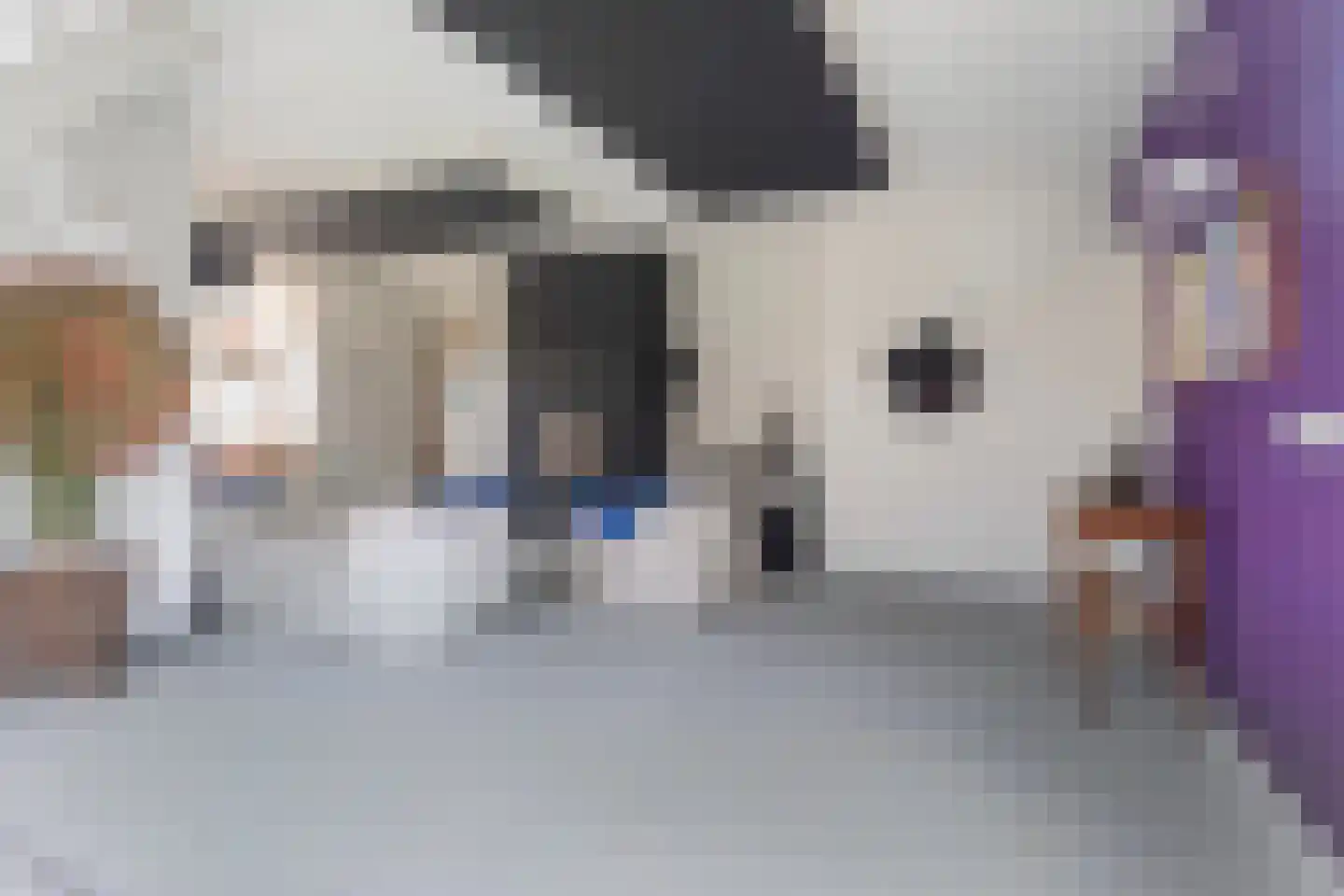 Hôfsleane 40 Berltsum thumbnail 41
