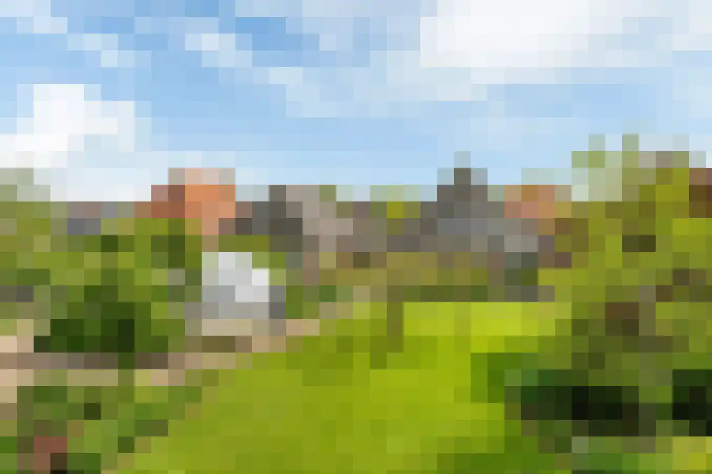 Hôfsleane 40 Berltsum thumbnail 49