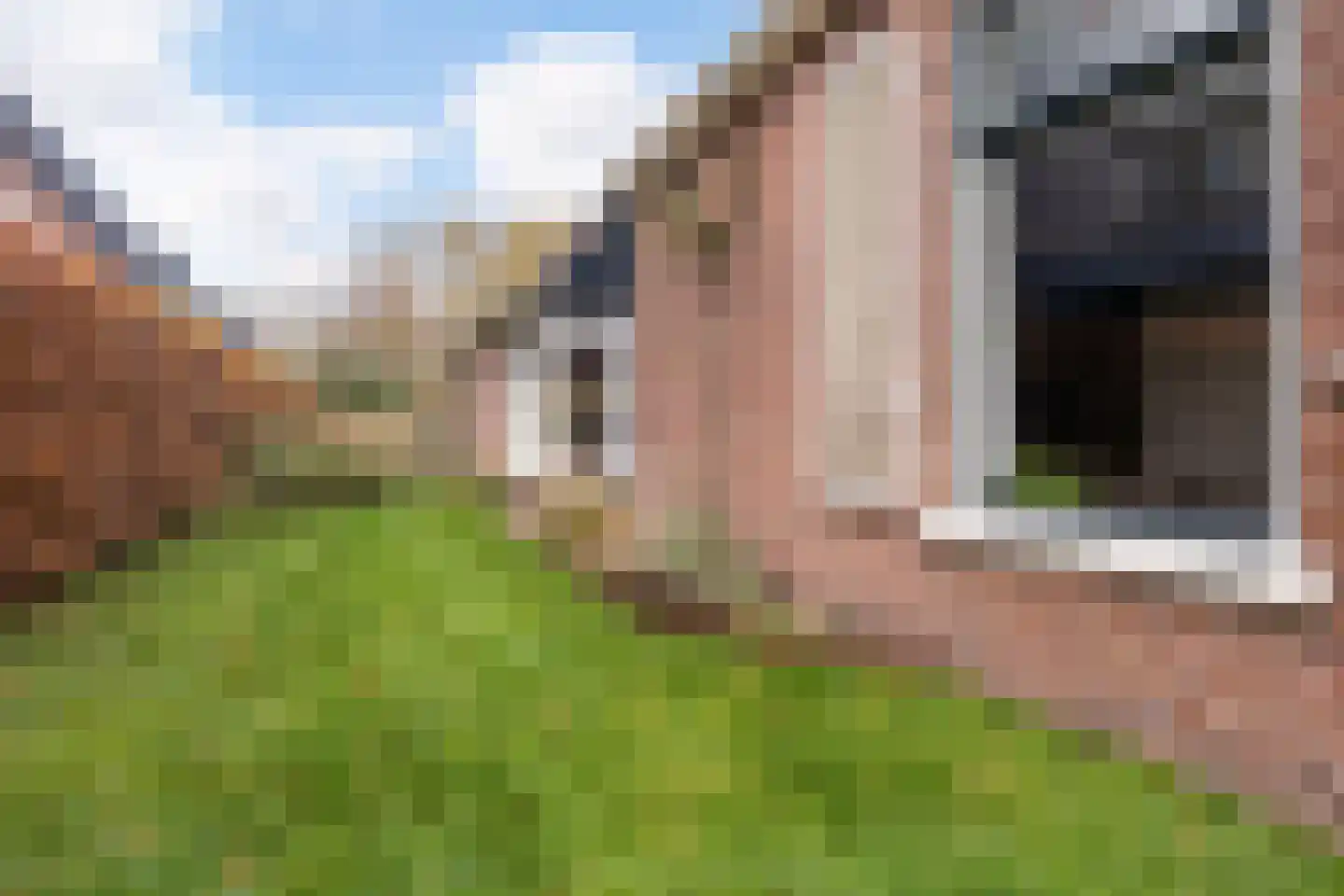 Hôfsleane 40 Berltsum thumbnail 50
