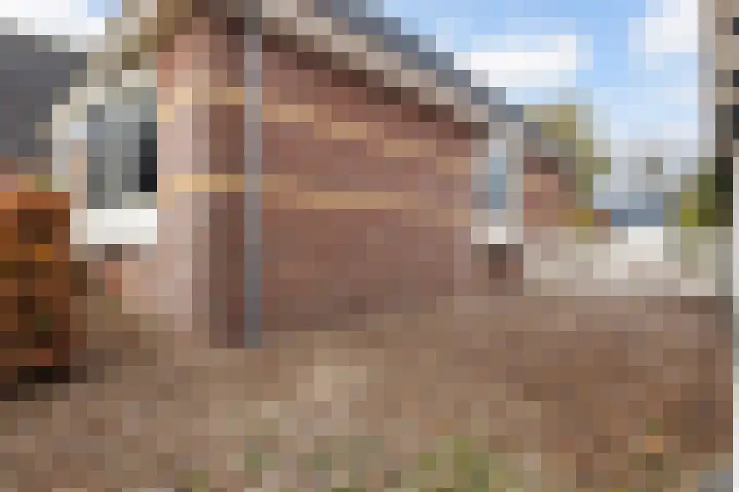 Hôfsleane 40 Berltsum thumbnail 51
