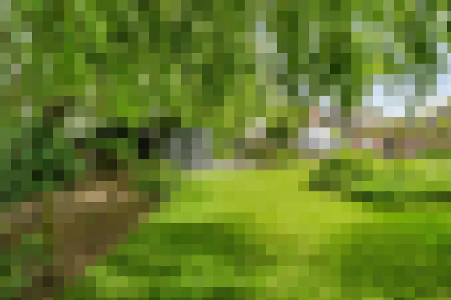 Hôfsleane 40 Berltsum thumbnail 52