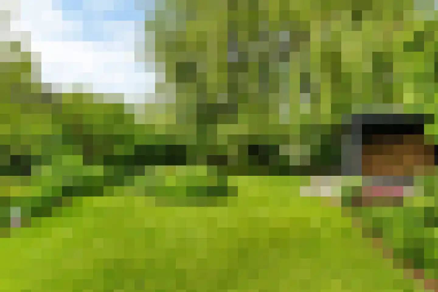 Hôfsleane 40 Berltsum thumbnail 53