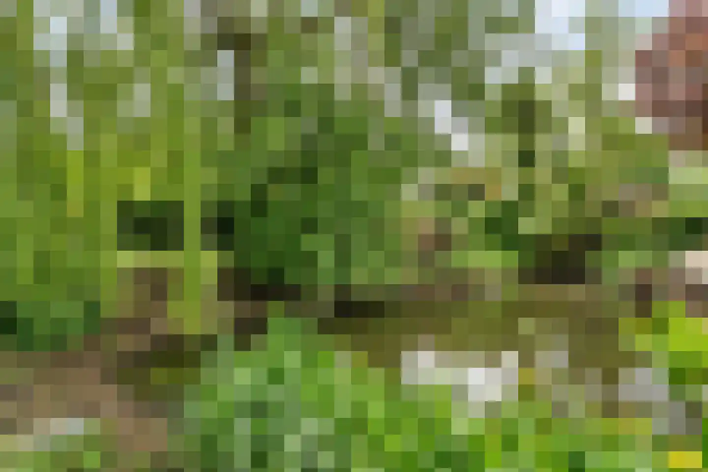 Hôfsleane 40 Berltsum thumbnail 56
