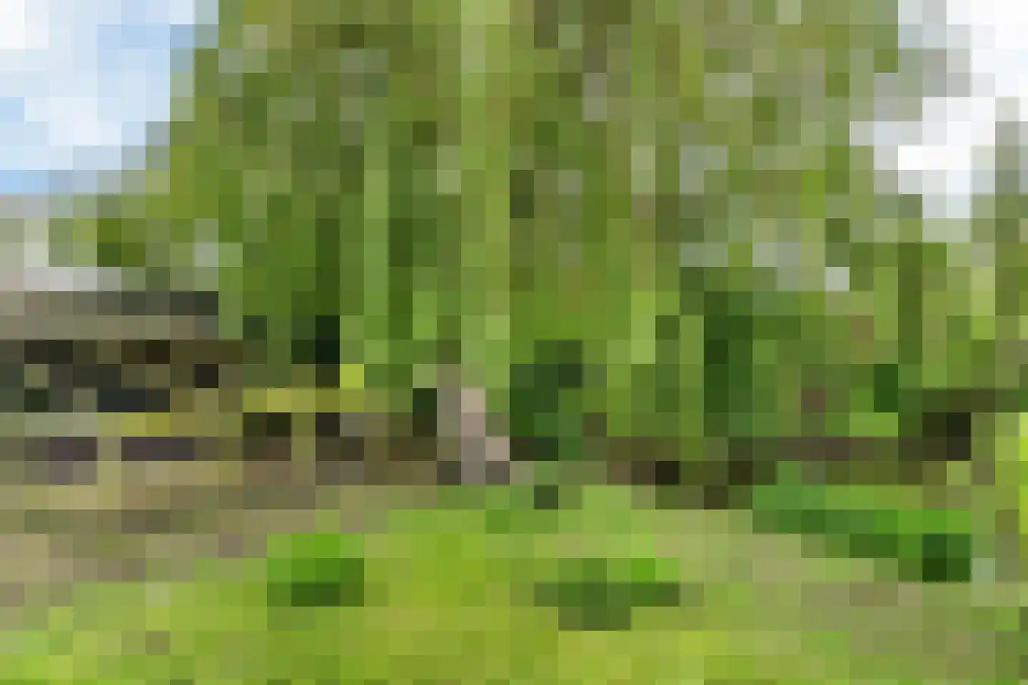 Hôfsleane 40 Berltsum thumbnail 57