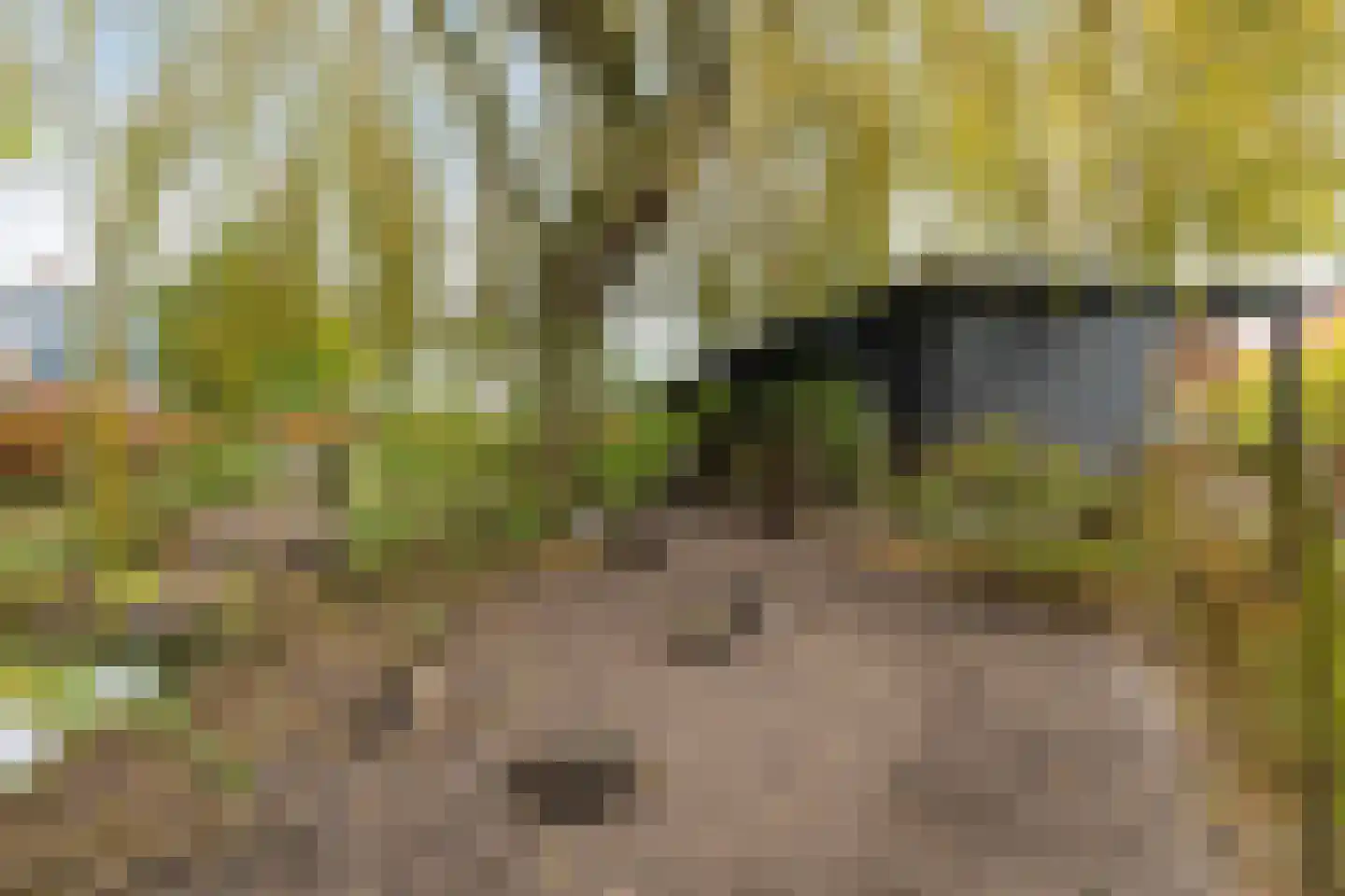 Hôfsleane 40 Berltsum thumbnail 57