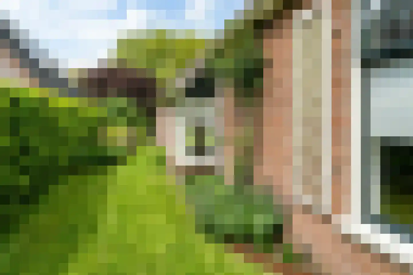 Hôfsleane 40 Berltsum thumbnail 58