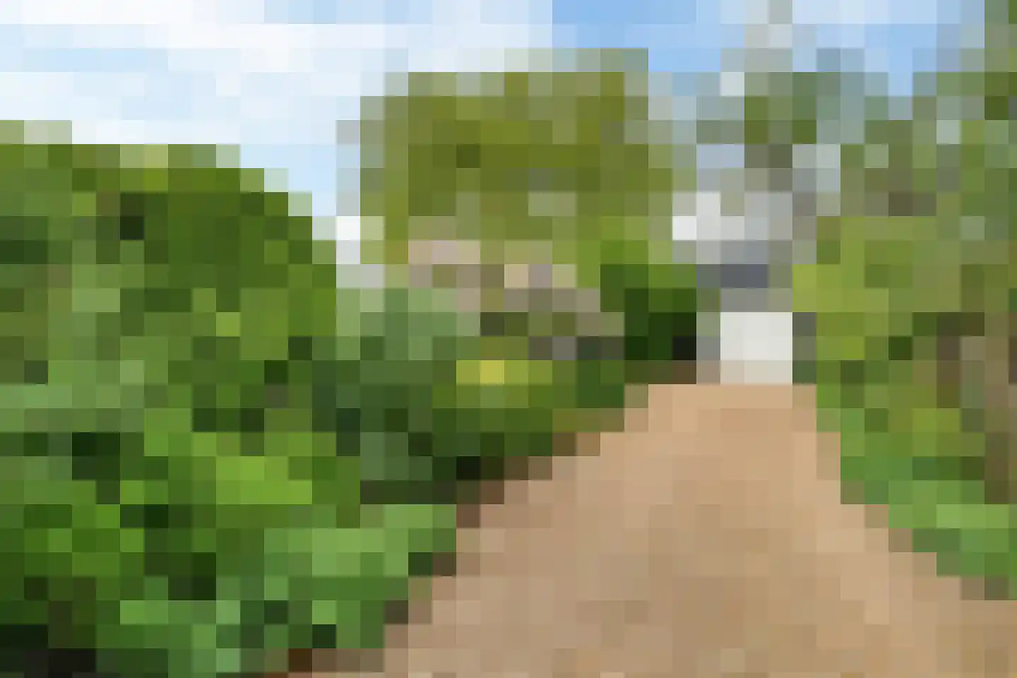 Hôfsleane 40 Berltsum thumbnail 59