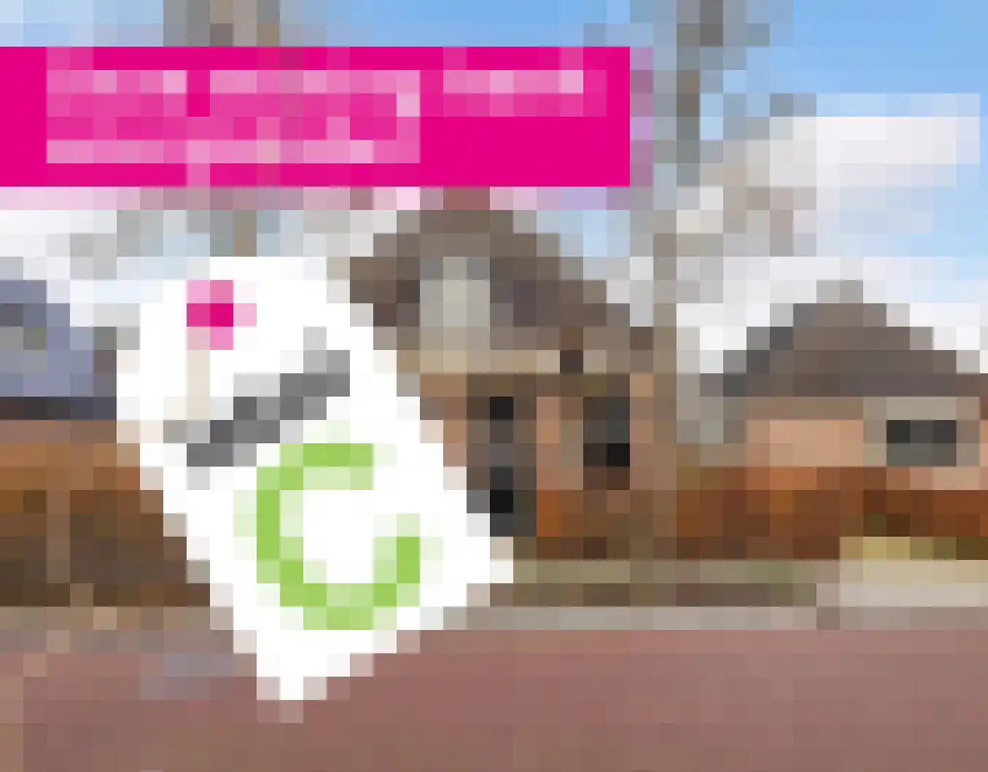 Hôfsleane 40 Berltsum thumbnail 62