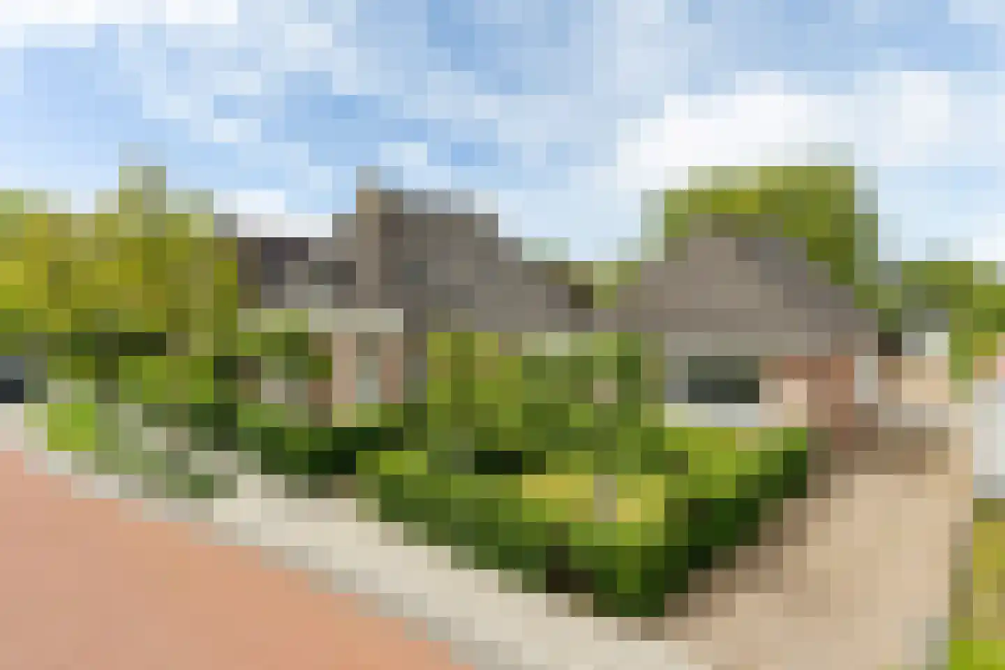 Hôfsleane 40 Berltsum thumbnail 63