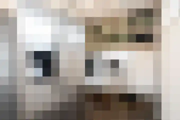 Hôfsleane 73 Berltsum thumbnail 27