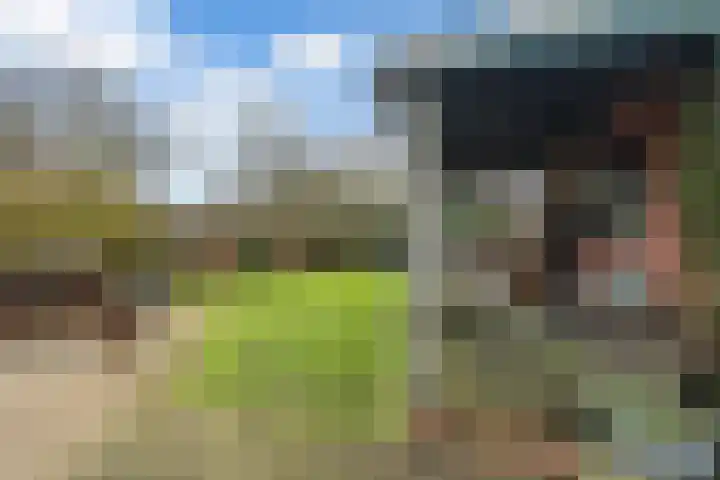 Hôfsleane 73 Berltsum thumbnail 42