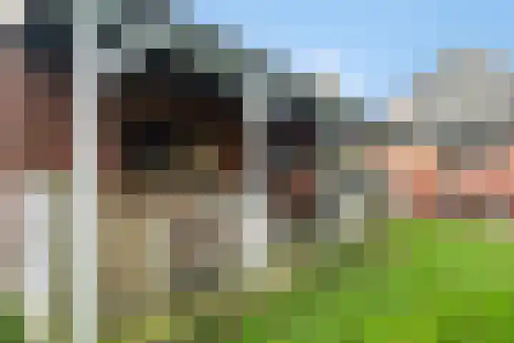Hôfsleane 73 Berltsum thumbnail 43