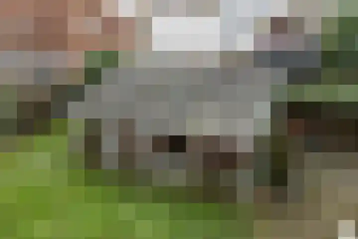 Hôfsleane 73 Berltsum thumbnail 45