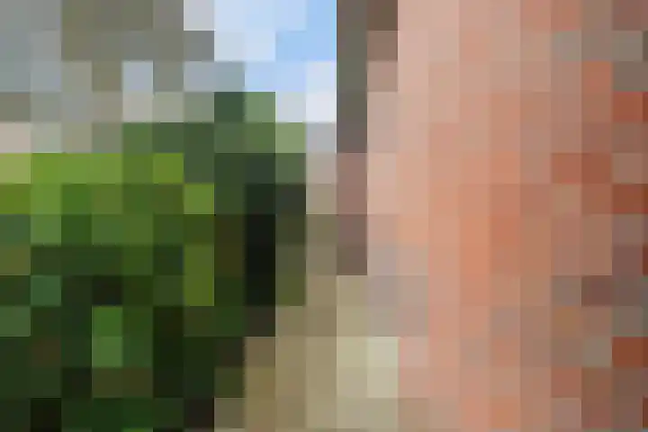 Hôfsleane 73 Berltsum thumbnail 47