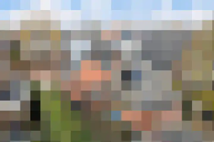 Hôfsleane 73 Berltsum thumbnail 49