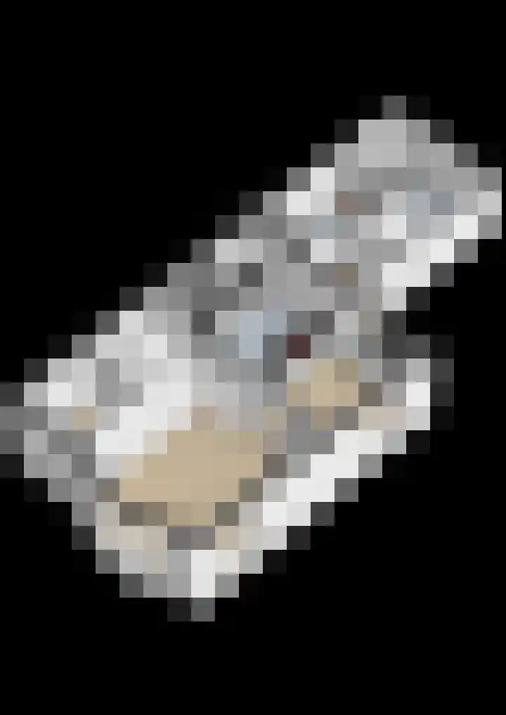 Hôfsleane 73 Berltsum thumbnail 58