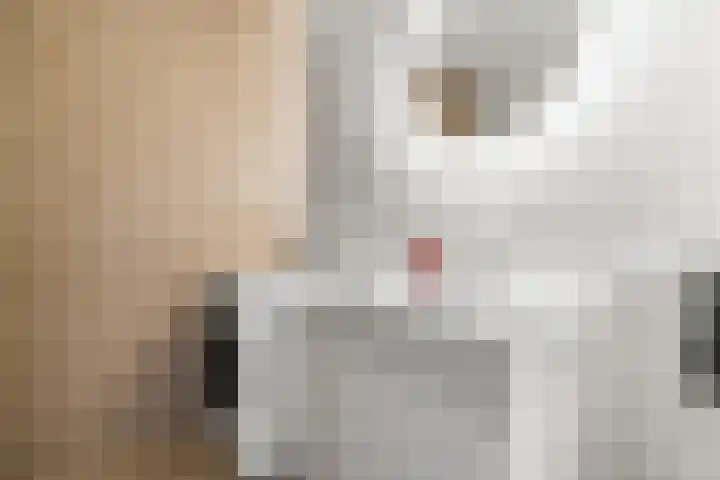 Hofspoor 8 Houten thumbnail 21