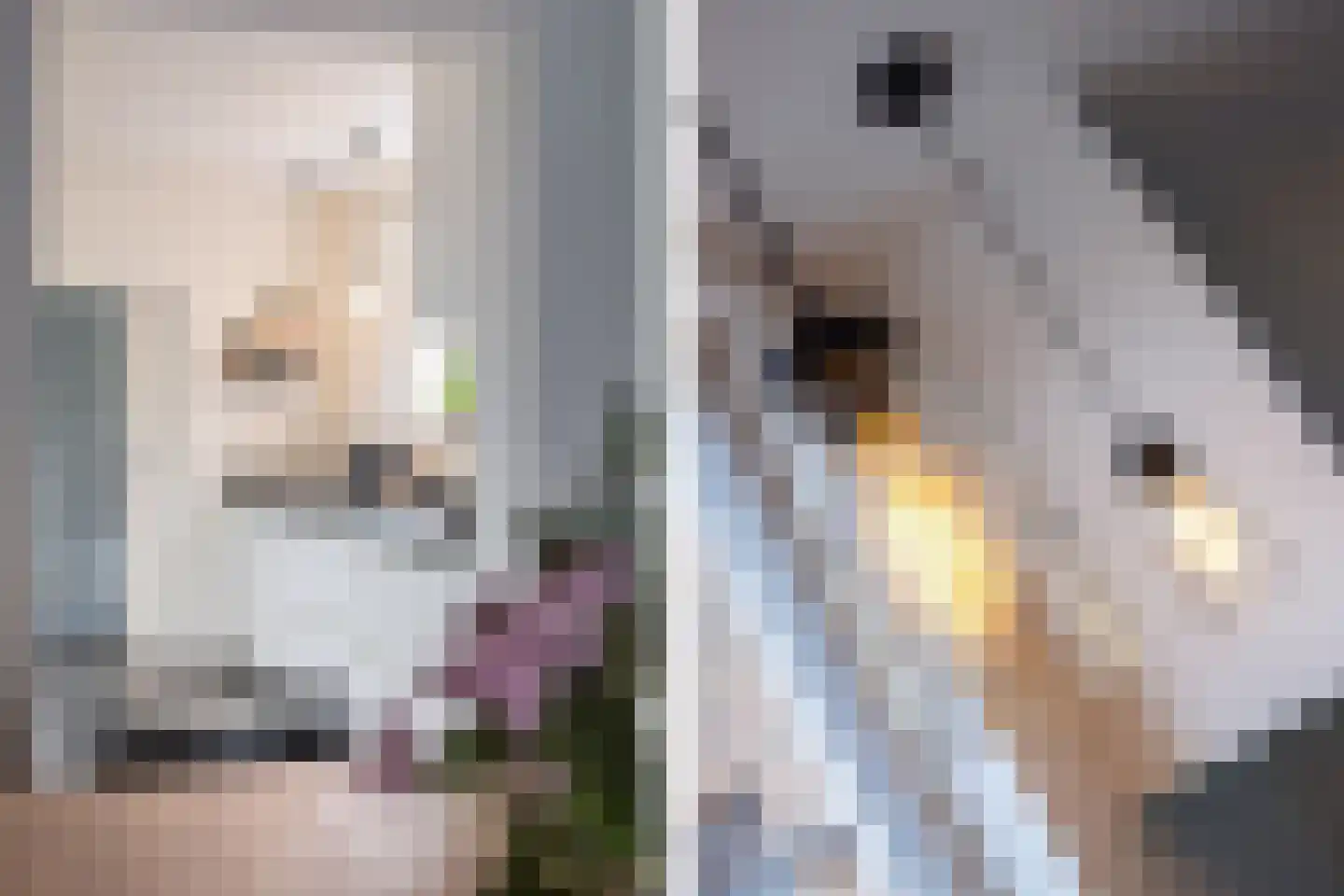 Hofstad 1 Bladel thumbnail 21