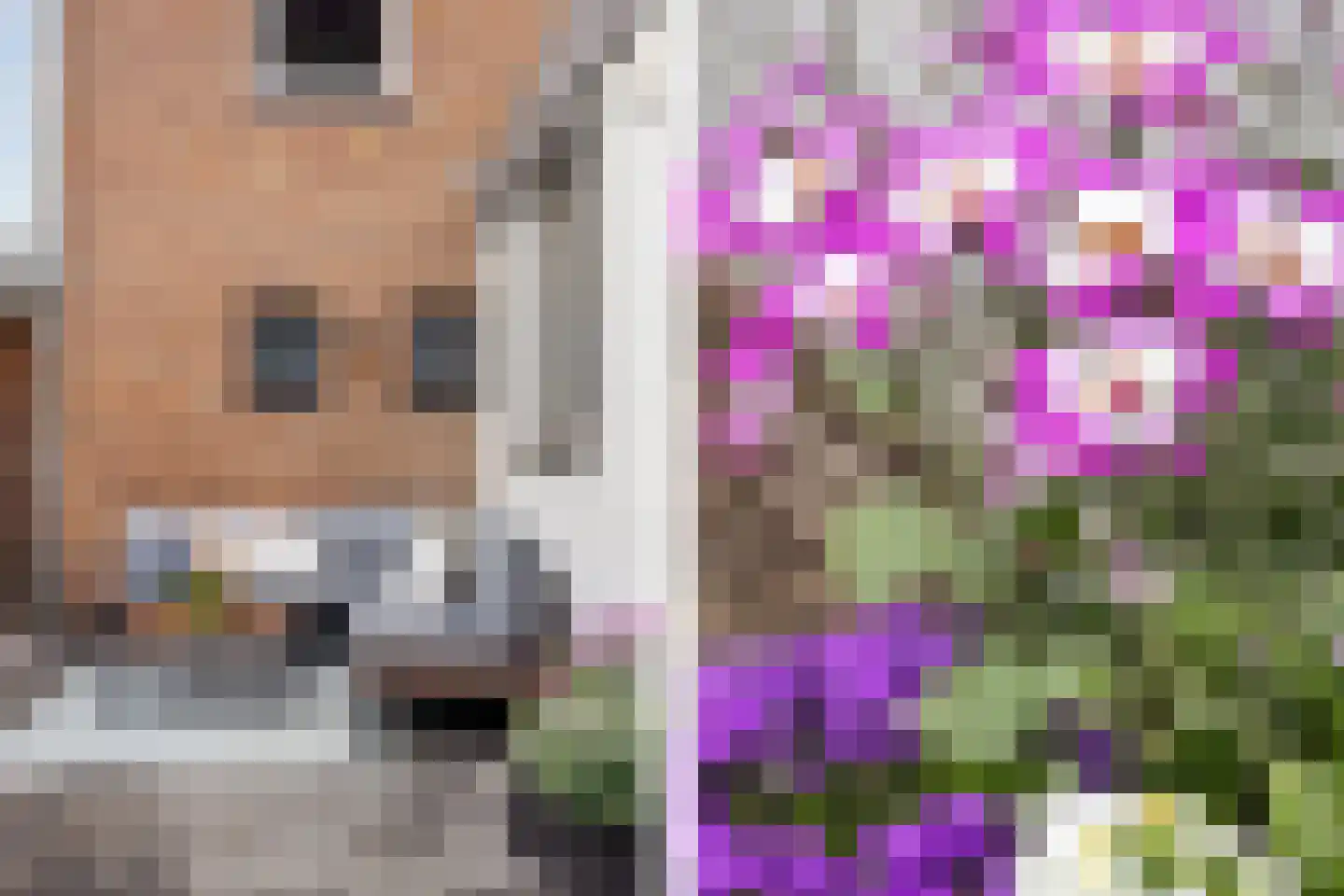 Hofstad 1 Bladel thumbnail 29