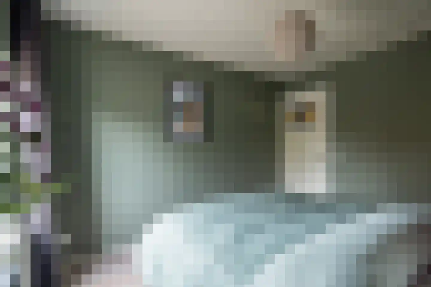 Hofstad 1 Bladel thumbnail 37