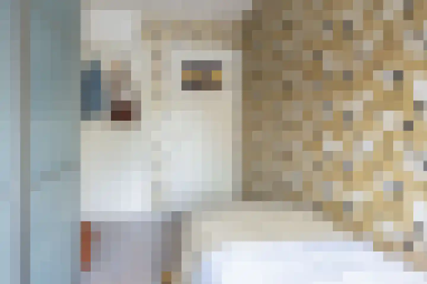 Hofstad 1 Bladel thumbnail 38