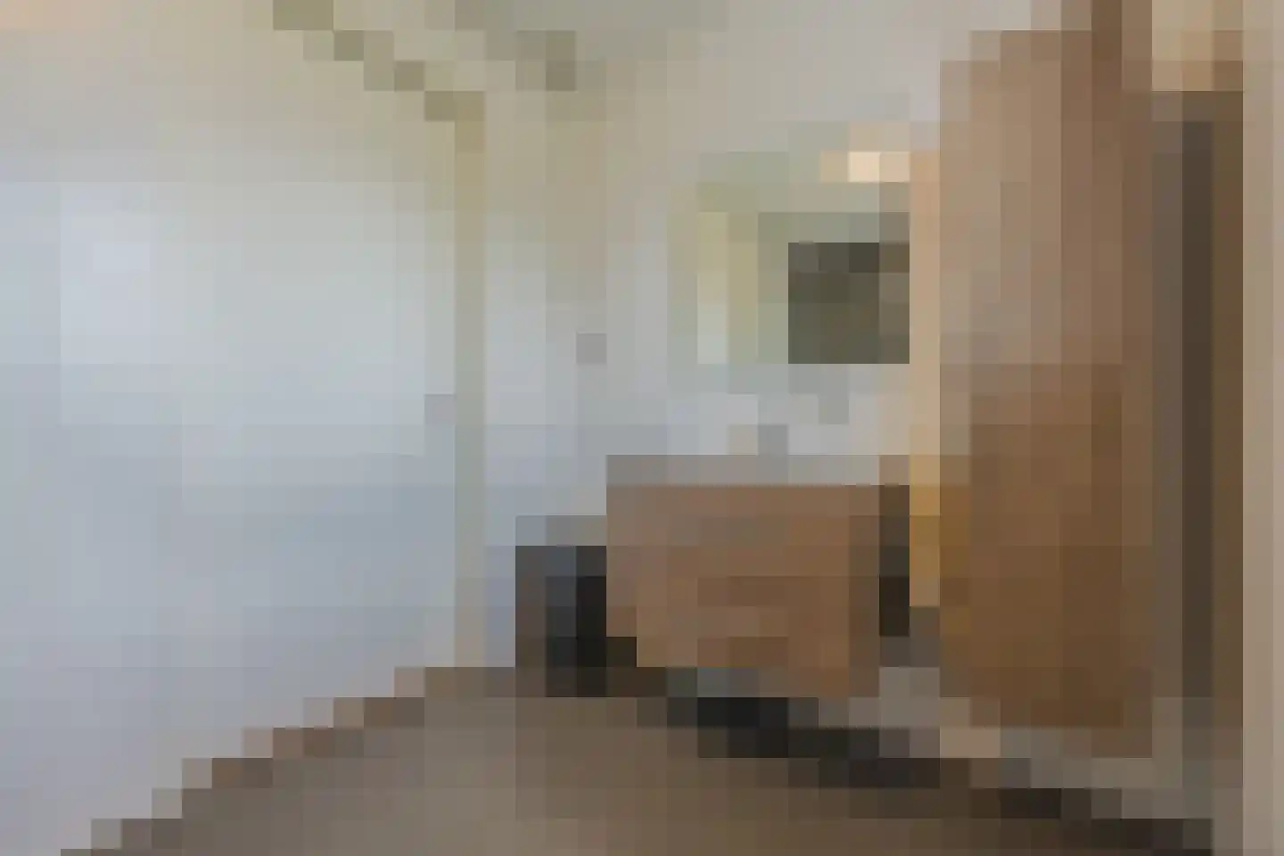Hofstad 10 Esbeek thumbnail 33