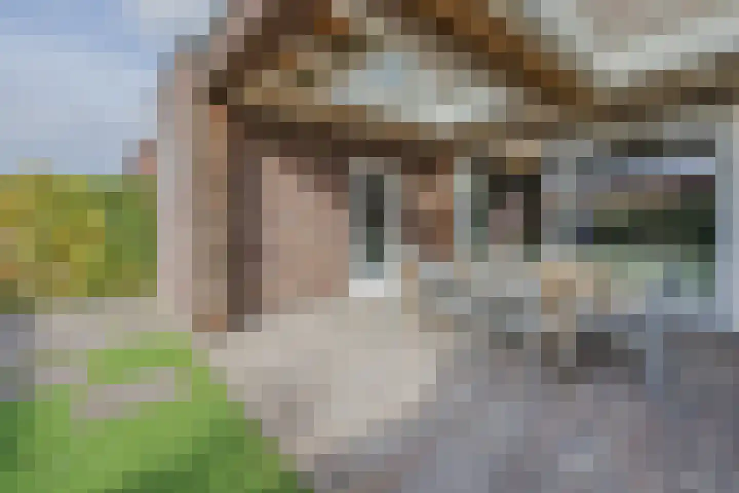 Hofstad 10 Esbeek thumbnail 48