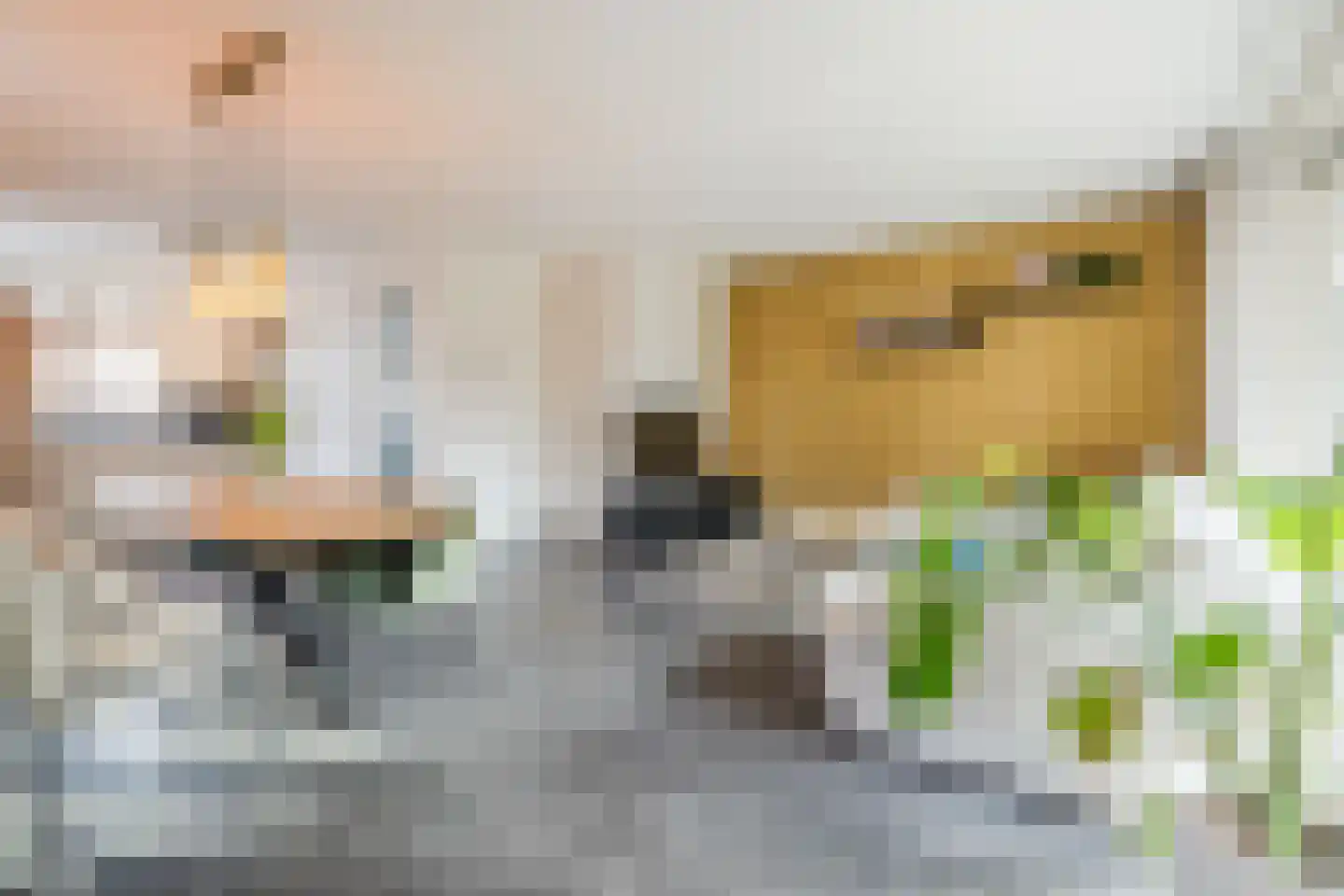 Hofstad 10 Esbeek thumbnail 8