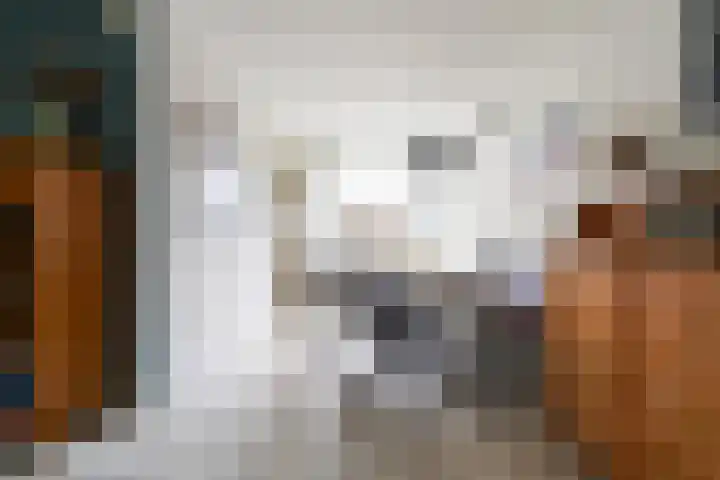 Hofstad 14 Waalwijk thumbnail 11