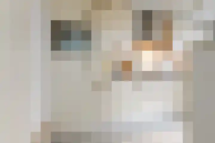 Hofstad 14 Waalwijk thumbnail 13