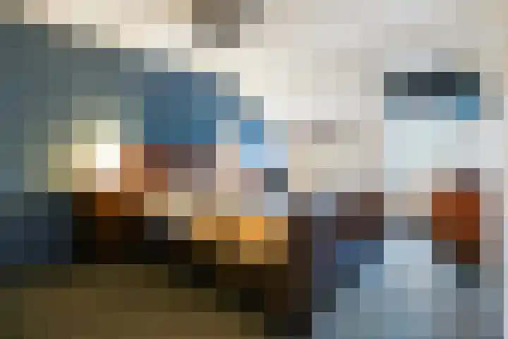 Hofstad 14 Waalwijk thumbnail 17