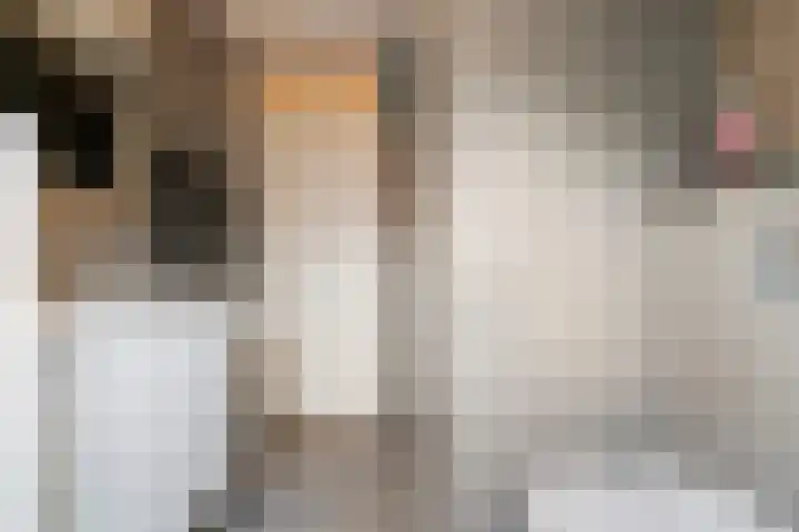 Hofstad 14 Waalwijk thumbnail 24