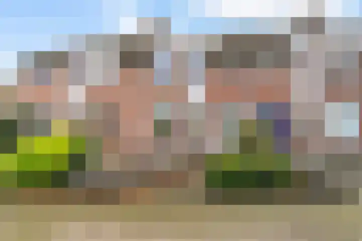 Hofstad 14 Waalwijk thumbnail 29