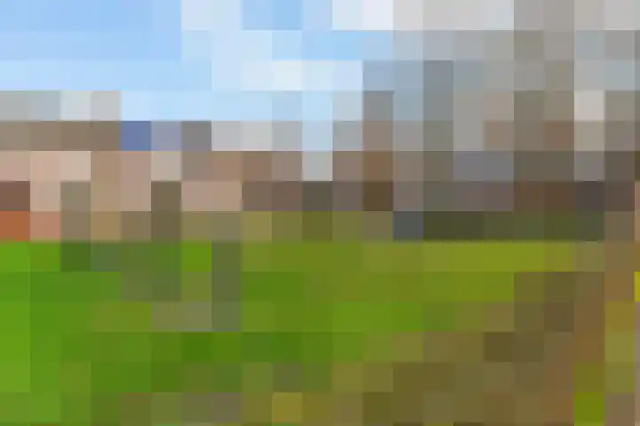 Hofstad 14 Waalwijk thumbnail 30