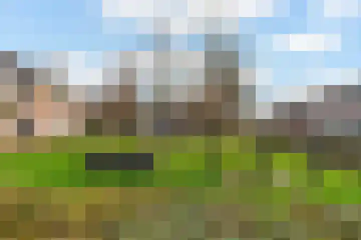 Hofstad 14 Waalwijk thumbnail 31